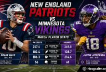 New England Patriots vs Minnesota Vikings Match Player Stats