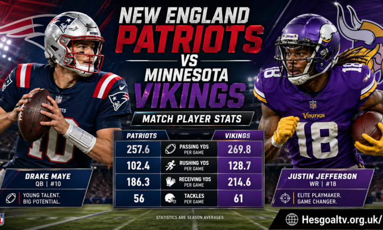 New England Patriots vs Minnesota Vikings Match Player Stats